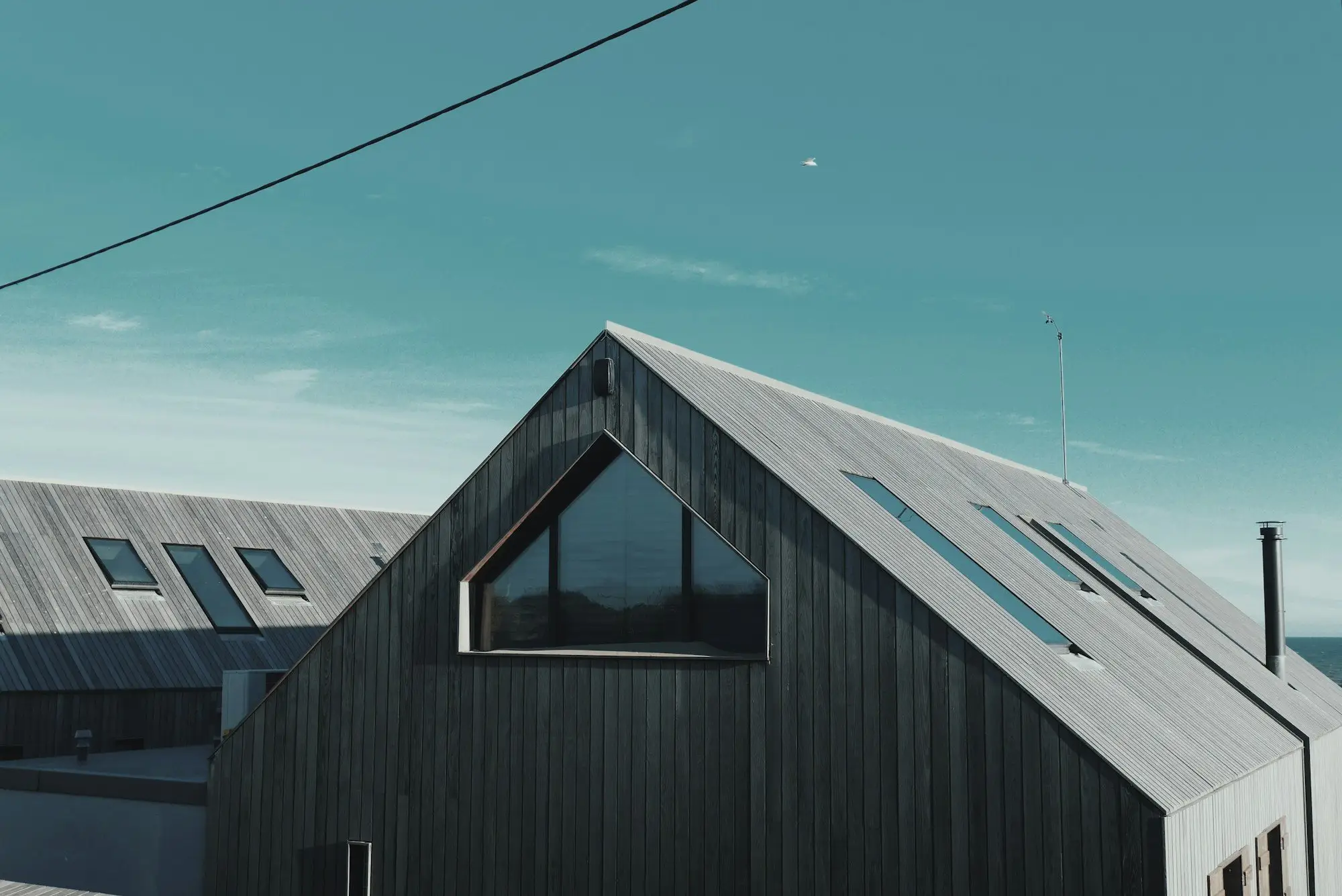 Black timber house with a steep standing-seam metal roof and flush skylights against a clear sky